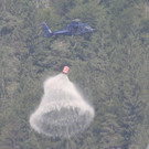 28072013waldbrde01003aktivnews2 _81_.JPG