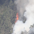 28072013waldbrde01003aktivnews2 _88_.JPG