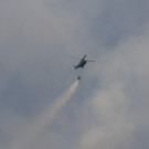 28072013waldbrde01003aktivnews2 _118_.JPG