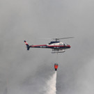 28072013waldbrde01003aktivnews2 _107_.JPG
