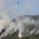 28072013waldbrde01003aktivnews2 _105_.JPG