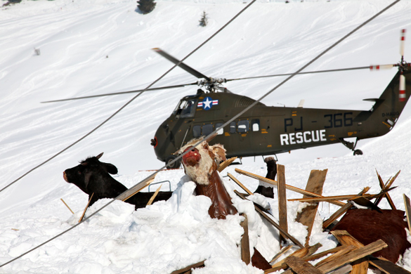 KOE-Winterdreh-Bilgeri 57_jpg-1268251992