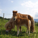 DSC06546.JPG