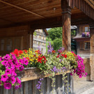 DSC06582.JPG