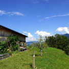 DSC06708.JPG