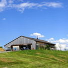 DSC06710.JPG