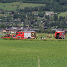 28072013StallbrandPiesendorf_06_Bildgr____e __ndern.JPG