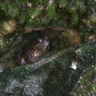 IMG_7017.jpg