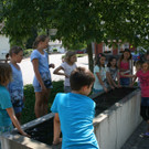 IMG_1309_JPG-1375030541
