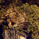 normal_28072013fmt_sturmschaeden_mw-1.jpg