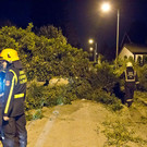 normal_28072013fmt_sturmschaeden_mw-13.jpg