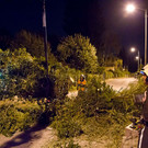 normal_28072013fmt_sturmschaeden_mw-17.jpg