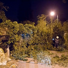normal_28072013fmt_sturmschaeden_mw-6.jpg