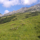 2013-07-22 09_14_57.jpg