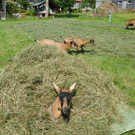 DSC01357.JPG