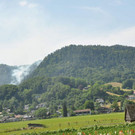 normal_28072013fmt_pk_brand_thumsee_ui_00.jpg