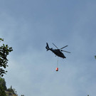 normal_28072013fmt_pk_brand_thumsee_ui_01.jpg