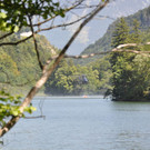normal_28072013fmt_pk_brand_thumsee_ui_02.jpg