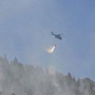normal_28072013fmt_pk_brand_thumsee_ui_18.jpg