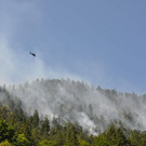 normal_28072013fmt_pk_brand_thumsee_ui_20.jpg