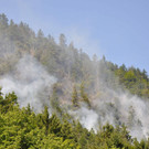 normal_28072013fmt_pk_brand_thumsee_ui_22.jpg