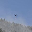 normal_28072013fmt_pk_brand_thumsee_ui_23.jpg