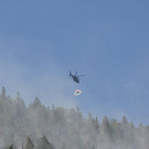 normal_28072013fmt_pk_brand_thumsee_ui_24.jpg
