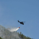 normal_28072013fmt_pk_brand_thumsee_ui_28.jpg