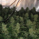 29_07_2013 PI Ziersdorf 02.jpg