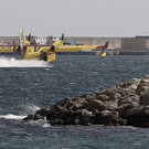IBD1175-20130728.jpg