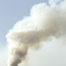 IBD1164-20130728.jpg