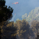IBD1011-20130728.jpg