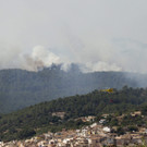 IBD0318-20130727.jpg
