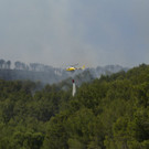 IBD0319-20130727.jpg