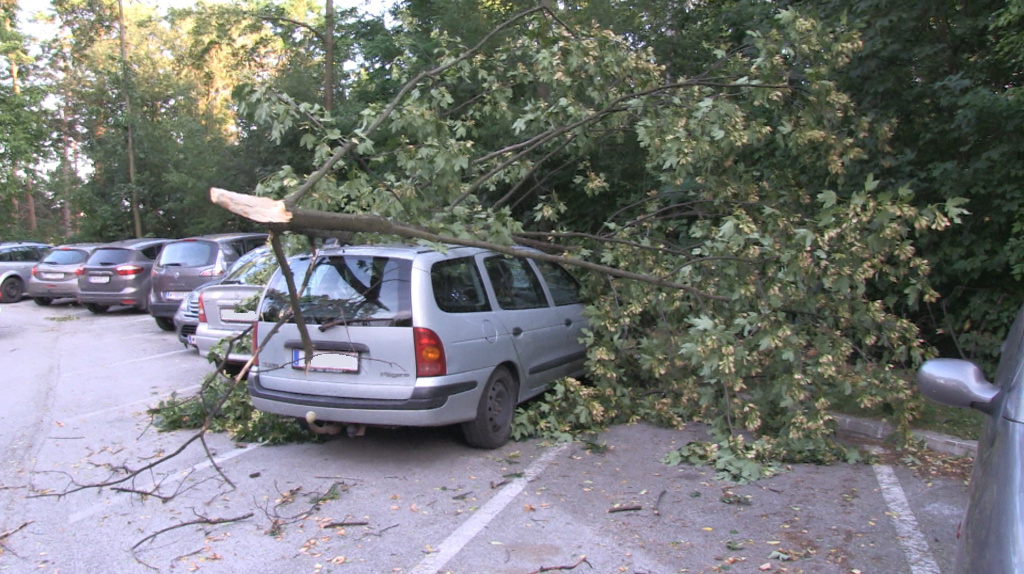 Sturm_Hochegg_1 _1_.jpg