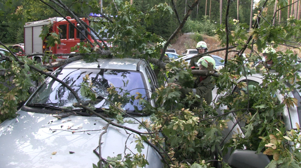 Sturm_Hochegg_1 _11_.jpg