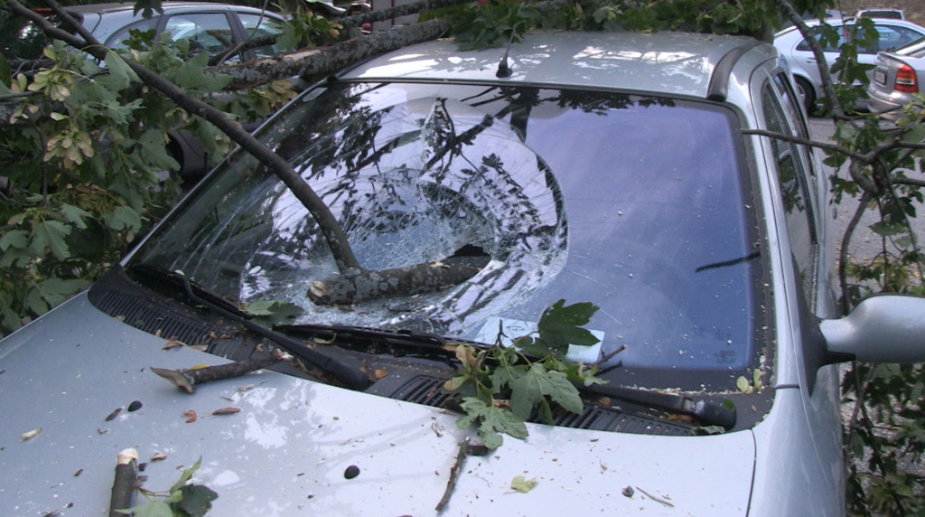 Sturm_Hochegg_1 _12_.jpg