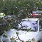 Sturm_Hochegg_1 _14_.jpg