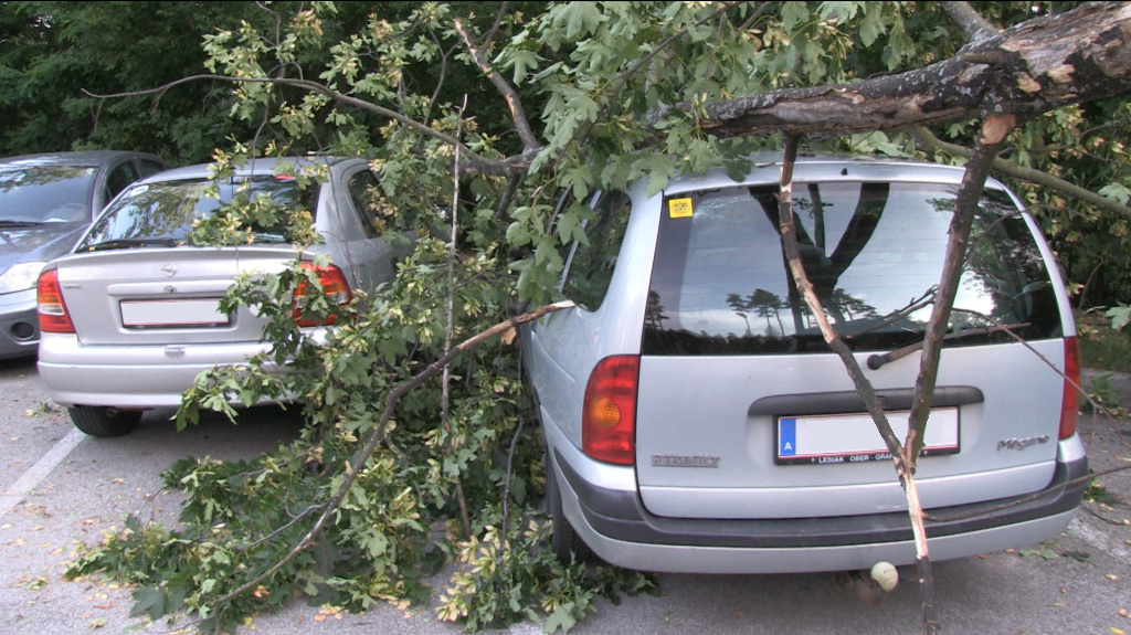 Sturm_Hochegg_1 _2_.jpg