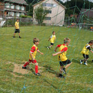 Vereineturnier 2013 135_JPG-1375177033