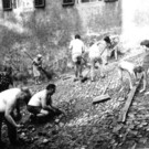 Bregenz_AltstadtII.JPG
