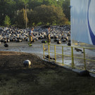 IBD0465-20130730.jpg