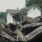 Vintage Vorarlberg: Alte Fotos aus Langenegg