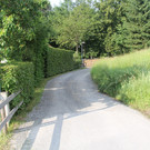 Bergstra__e_2_JPG-1375211781