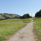 IMG_1389A_JPG-1375268704