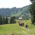 IMG_1394A_JPG-1375268803
