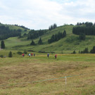 IMG_1518A_JPG-1375269341