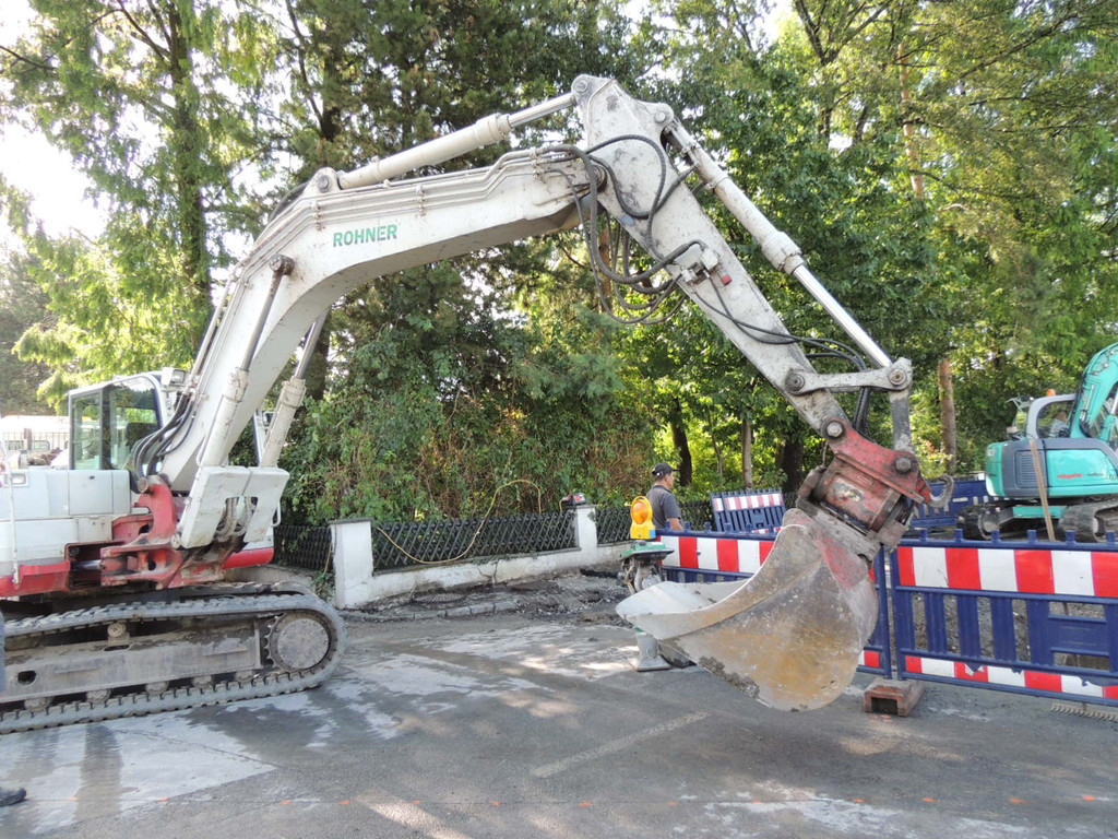 DSCN8556_JPG-1375309548