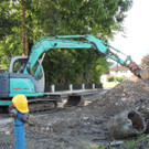 DSCN8554_JPG-1375309545