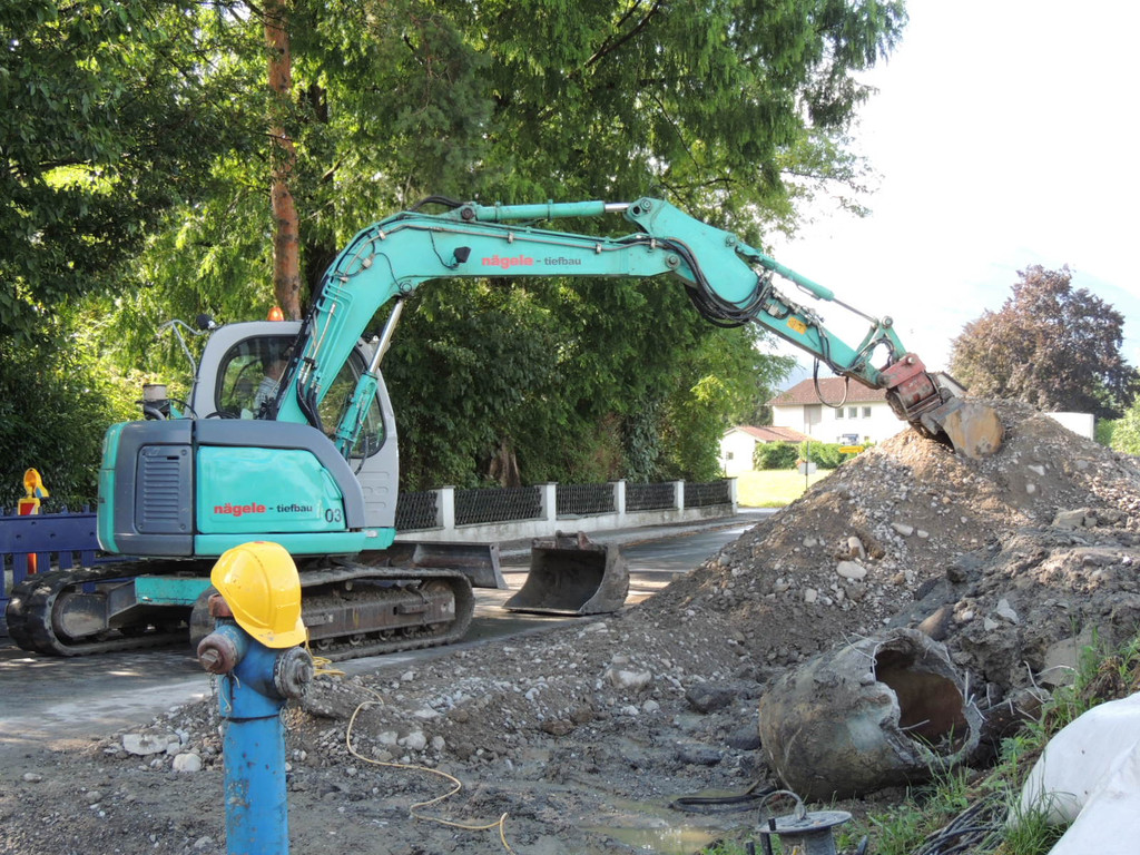 DSCN8554_JPG-1375309545